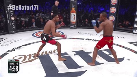 Mixed Martial Arts Fighting By Bellator Find Share On Giphy