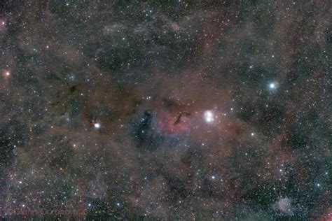 Perseus Molecular Cloud Ngc1333 Glenn Orzepowski Astrobin