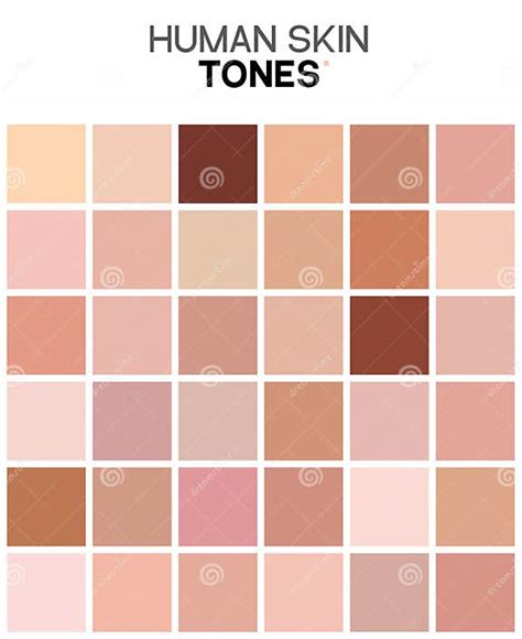 Skin Tone Color Chart Human Skin Texture Color Infographic Palette