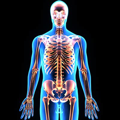 teaching patients anatomical terminology   communication