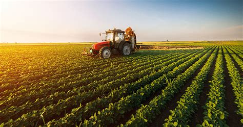 Agropecuária O Que é E Qual A Sua Importância Para O Brasil