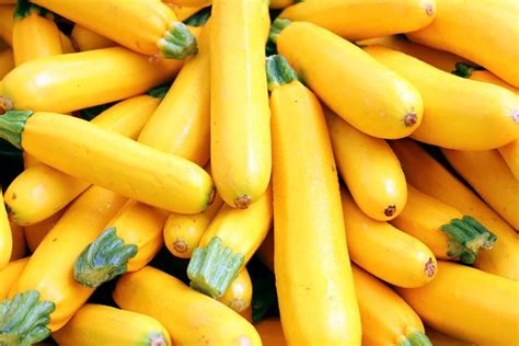 How To Grow Golden Zucchini Gardeners Path