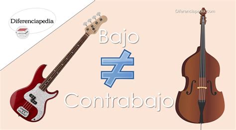 Diferencia Entre Bajo Y Contrabajo Diferenciapedia La Web De Las