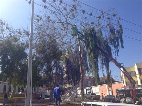 Lefa Municipio Contin A Aplicando Plan De Manejo De Poblaci N De