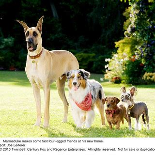 Marmaduke (2010) Cast, Crew, Synopsis and Information