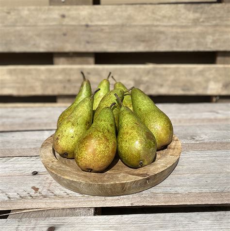 Conference peren | Dillen Groenten & Fruit bv