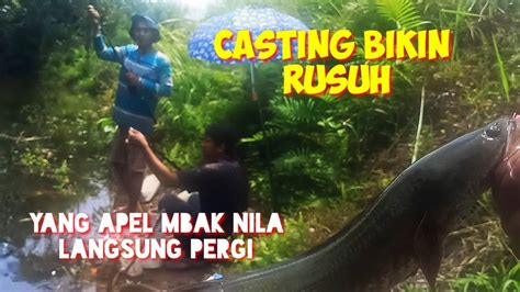 Casting Haruan Sekali Lempar Langsung Strike Youtube