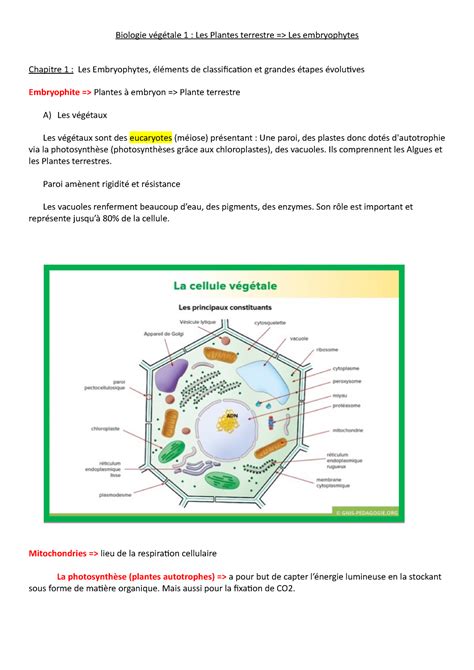 Chapitre 1 biologie végétale Les embryophytes Biologie végétale 1