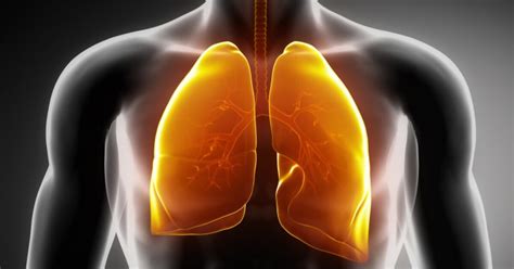 Respiratory Failure Symptoms Causes Treatments