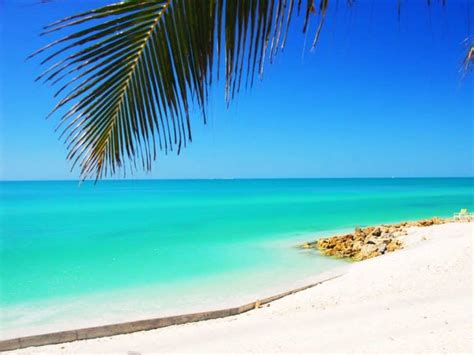 Top 15 Cleanest Beaches in Florida