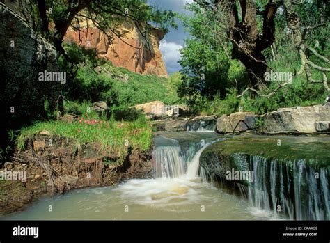 Golden Gate National Park Scene Mountain Stream Free State South