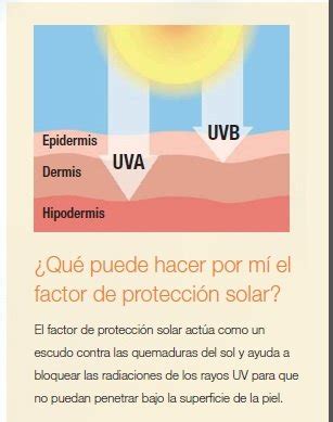 Conoce La Importancia Del Bloqueador Solar Y Los Beneficios Para Tu Piel