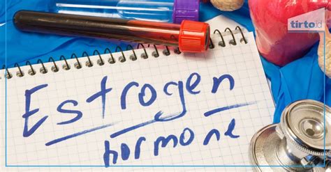 Cara Meningkatkan Hormon Estrogen Pada Perempuan And Apa Fungsinya