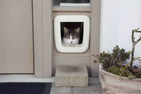 Manual 4 Way Locking Cat Flaps Pet Flaps Uk