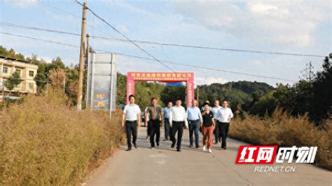 东安：蒋华调研花桥岔路口至大盛公路提质改造建设项目施工工程