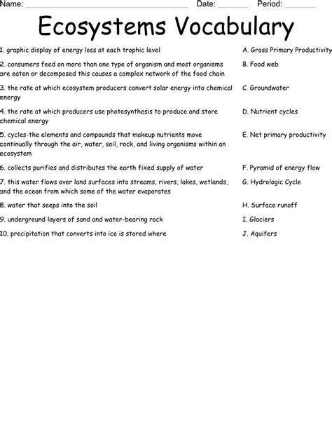 Free Ecosystem Worksheets