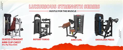 Best Gym Equipment Brand In India Gym Equipment Fitness Clip