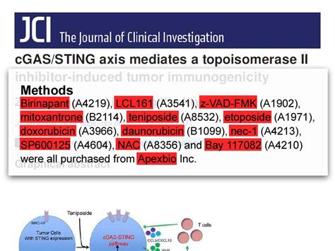 Apexbio Doxorubicin Topo Ii Inhibitor Immunosuppresive