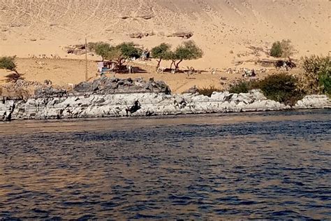 2023 Private Felucca Tour:Aswan Elephantine Island, Agha Khan & Botanic ...