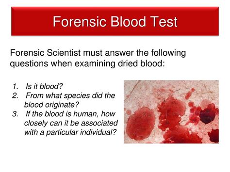 PPT Chapter 8 Forensic Serology PowerPoint Presentation Free