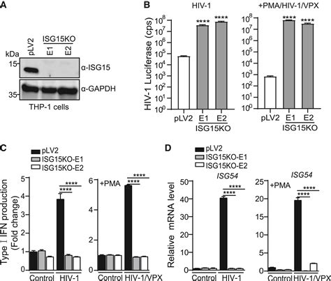 Regulation Of Sting Activity In Dna Sensing By Isg Modification Cell