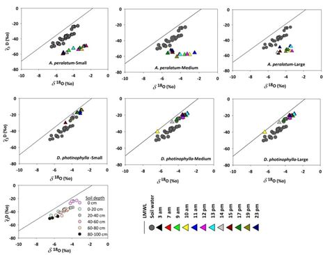 3 δD δ 18 O isotope space plot showing diurnal variation of isotope