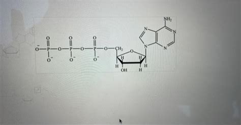 Solved Which is the structure of ATP? Multiple | Chegg.com