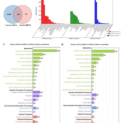 Target Prediction Of Mirnas And Function Enrichment Analysis A Venn