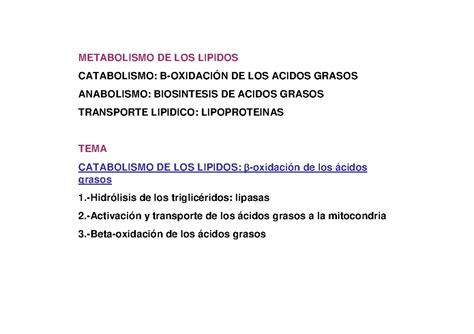 Beta Oxidaci N De Cidos Grasos Metabolismo De Los Lipidos