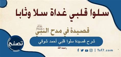 شرح قصيدة سلوا قلبي أحمد شوقي والصورة الفنية فيها - موقع تصفح