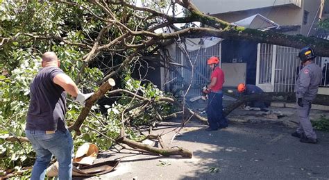 Chove 43 Milímetros Em Americana E Temporal Derruba 20 árvores Novo