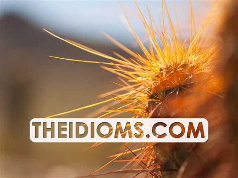 kickback meaning origin  sentence history