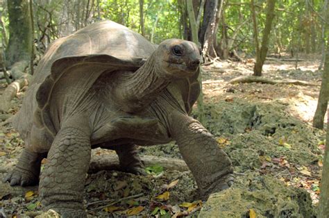 A Day on Moyenne Island – Ocean Blue Travel (Seychelles)