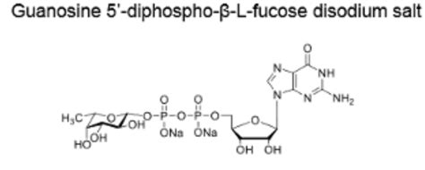 Gdp L Fuccas15839 70 0鸟苷5 二磷酸 β L 岩藻糖二钠盐