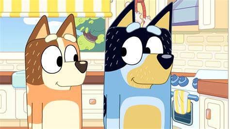 Bluey: New Episodes : ABC iview