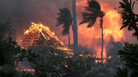 Hawaii Verheerende Waldbrände auf Maui fordern mehrere Todesopfer