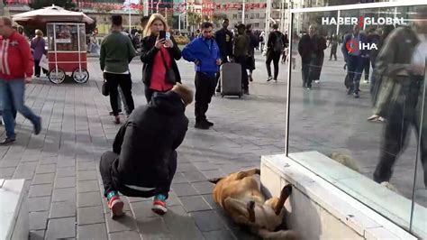 Taksim de ayakları havada uyuyan köpek turistlerin ilgi odağı oldu