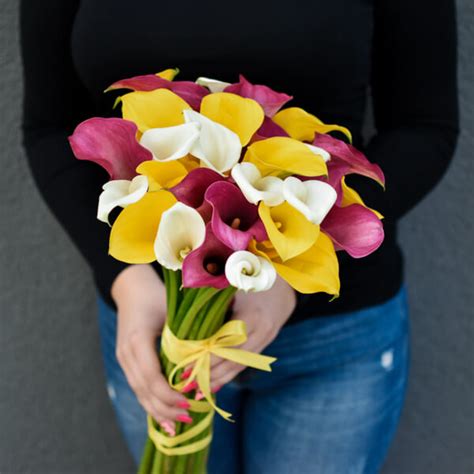 Multicolored bouquet of calla lily | Pristatome gėles