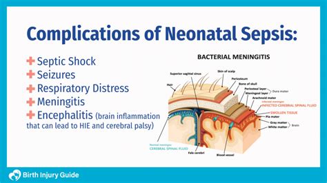 Neonatal Sepsis Birth Injury Guide