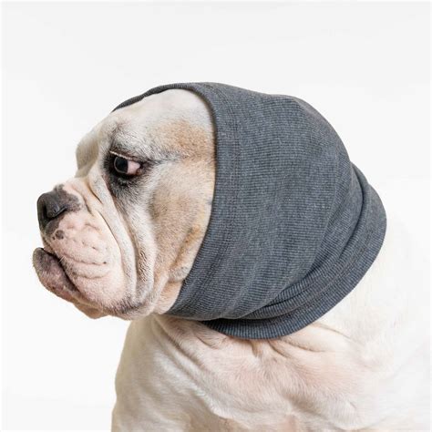 How Can I Protect My Dogs Ears From Loud Noises