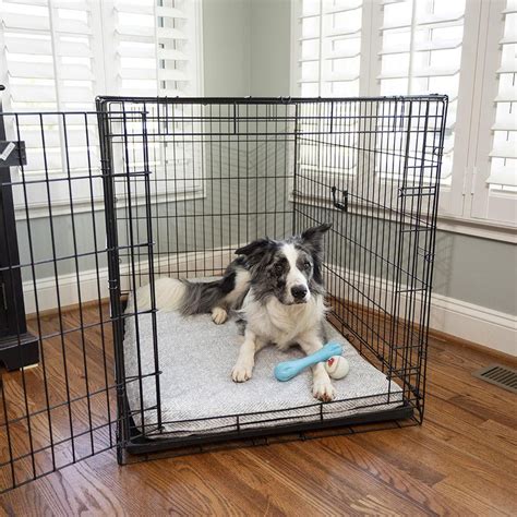 Washable Crate Pad In Show Dog Fabrics Akc Shop