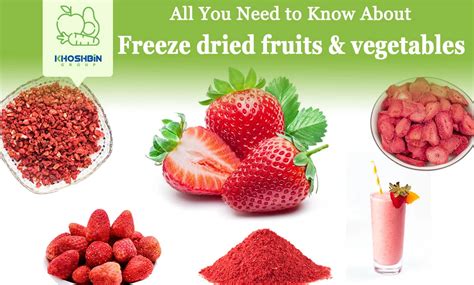 All You Need To Know About Freeze Dried Fruits And Vegetables ...