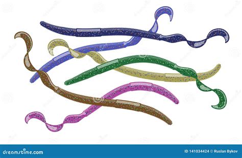 Different Color Varieties of Soft Plastic Worm Baits. Stock Vector - Illustration of outdoors ...