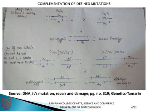 Complementation Of Defined Mutations