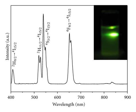 Up Conversion Fluorescence Spectrum Of Nayf Yb Er Ncs Synthesized At