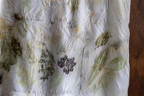 Eco Printing A Fun Way To Create Beautiful Fabric With Nature