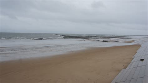 Redcar Mudstone formation and the Petrified Forest - Time and Tide Bell