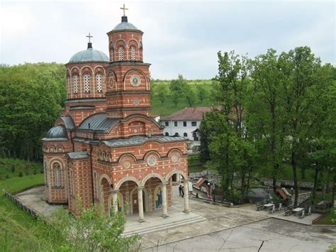 Đunis - Alchetron, The Free Social Encyclopedia