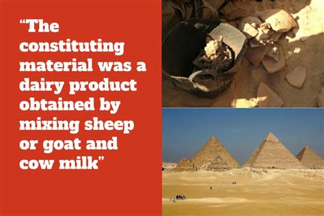 World S Oldest Cheese Found Inside A Year Old Egyptian Tomb