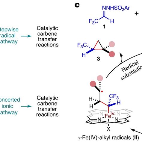 Dft Calculations On The Catalytic Mechanism For Olefin Cyclopropanation